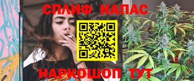 твердый Будённовск