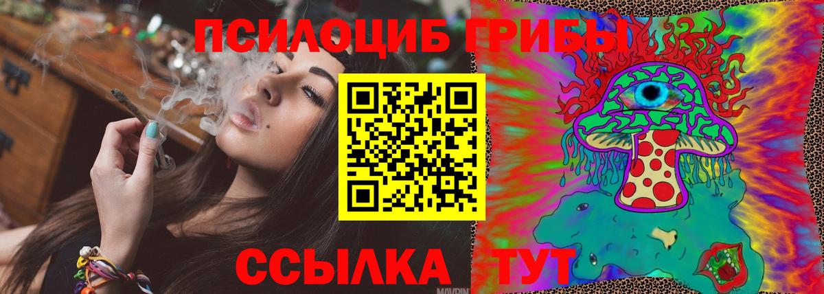 Псилоцибиновые грибы Cubensis  Вход с VPN  Сыктывкар 