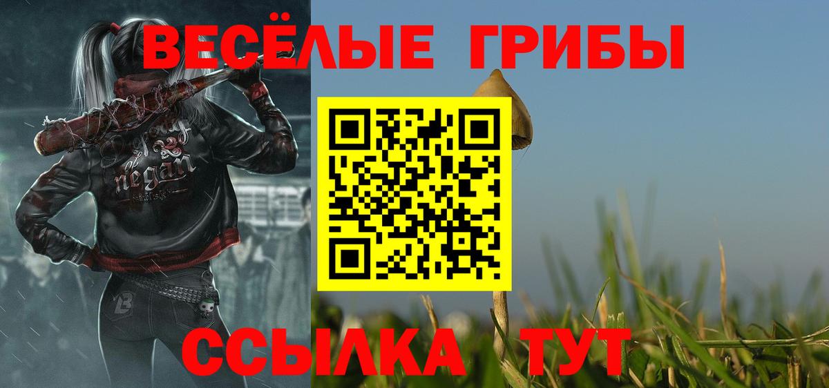 Галлюциногенные грибы Magic Shrooms Сыктывкар